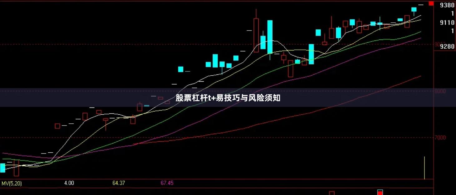 股票杠杆t+易技巧与风险须知